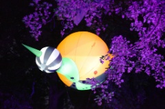 Lampadophores 44 * 5616 x 3744 * (11.71MB)